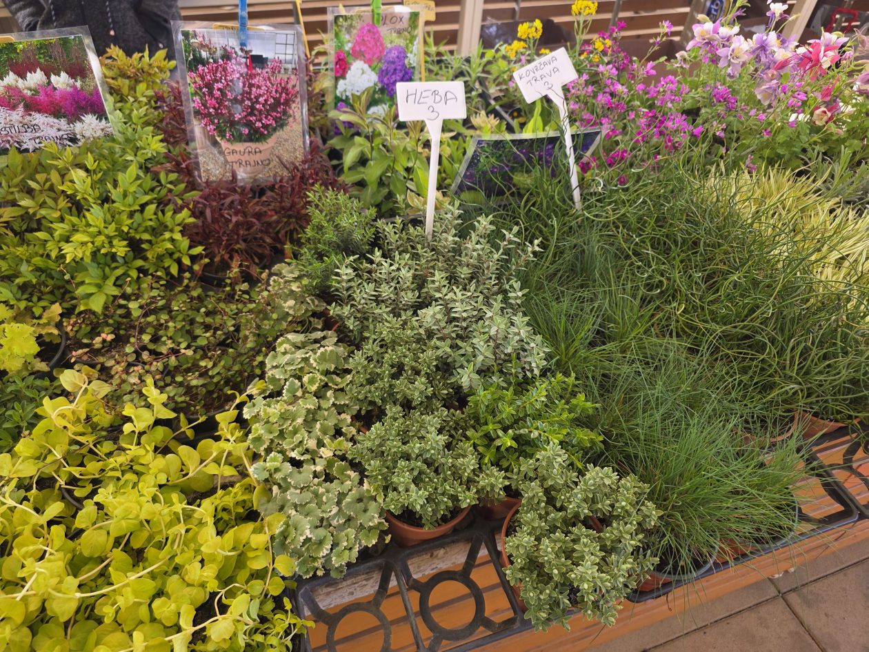 Čakovečki plac 4-4-2026 (40)