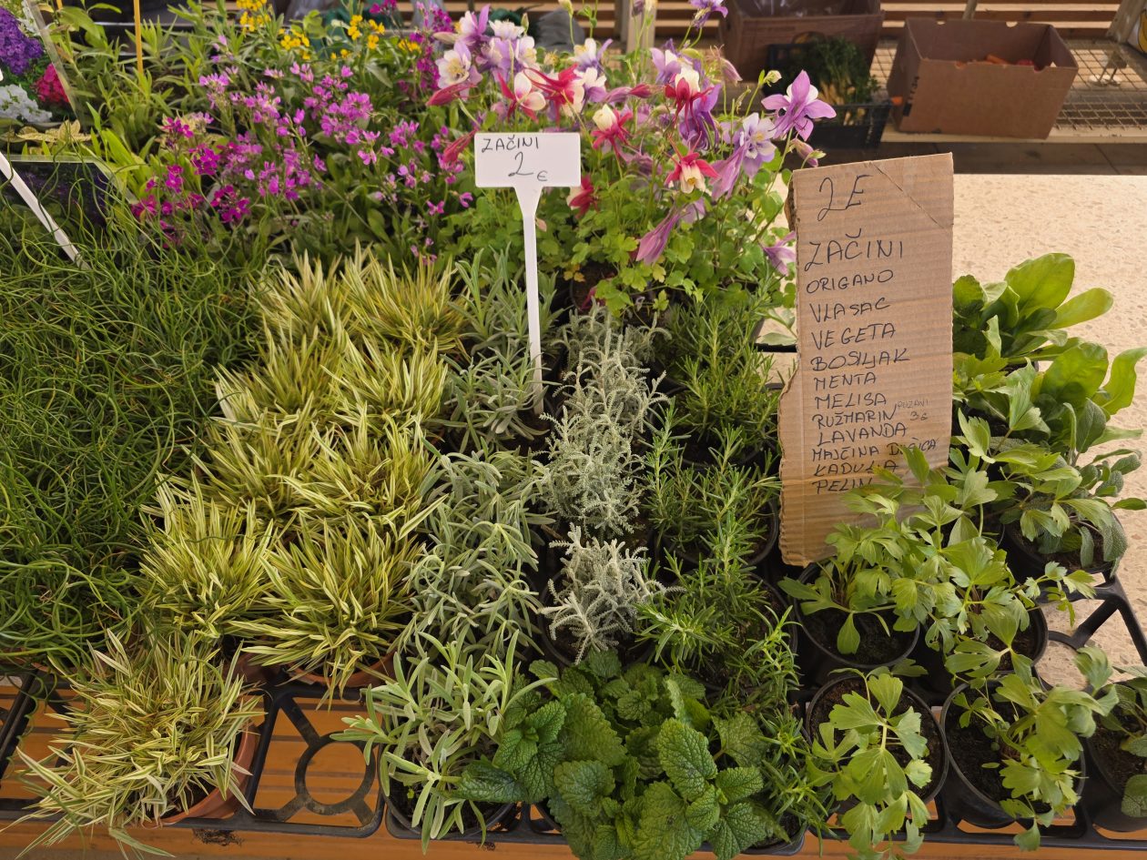 Čakovečki plac 4-4-2026 (41)