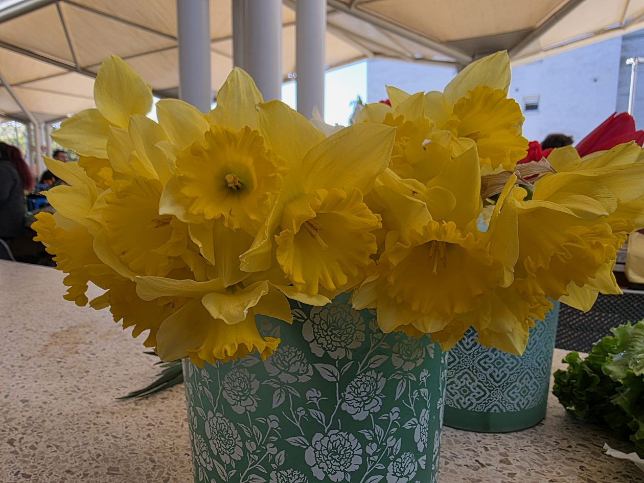 Čakovečki plac 4-4-2026 (42)