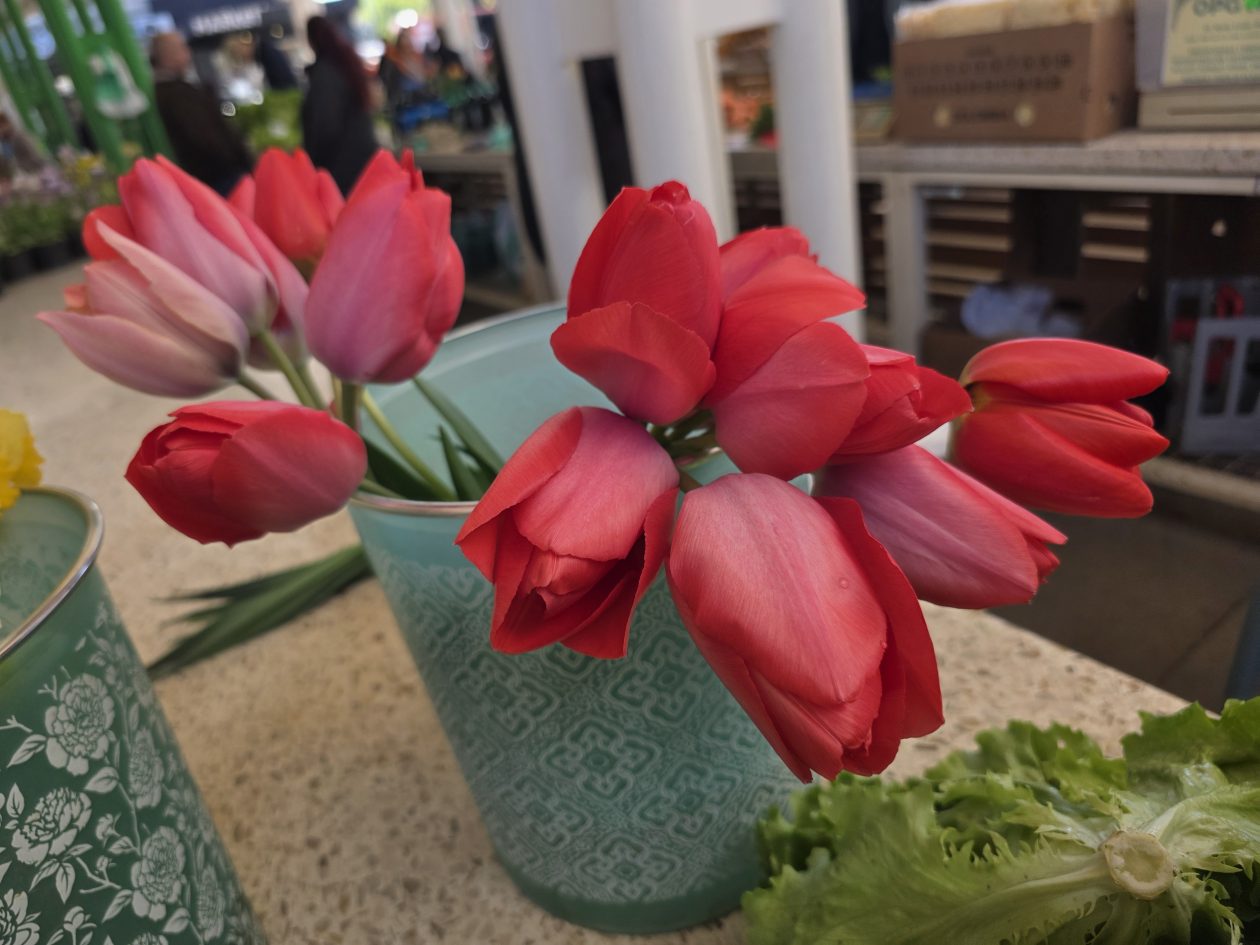 Čakovečki plac 4-4-2026 (43)