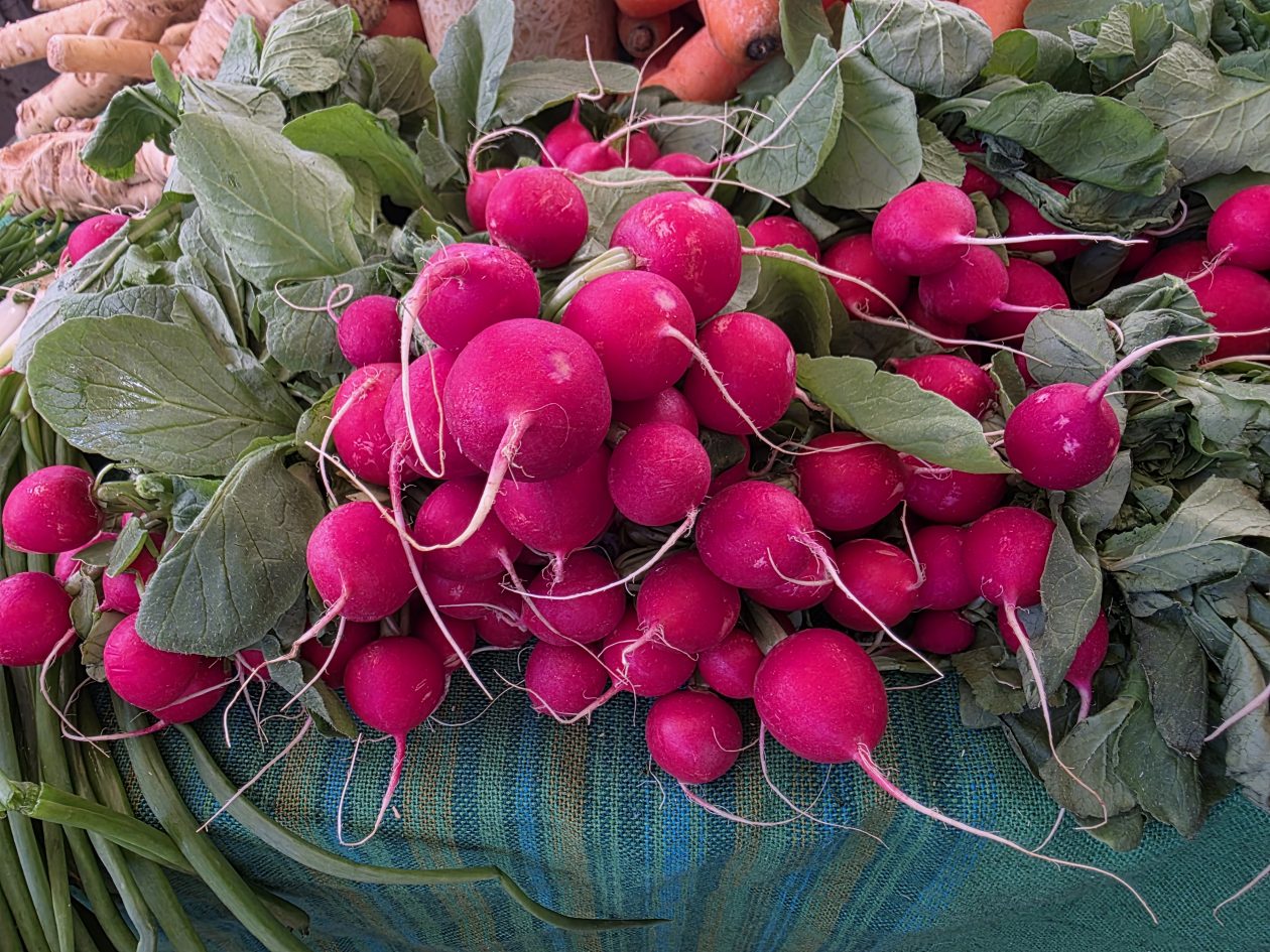 Čakovečki plac 4-4-2026 (51)