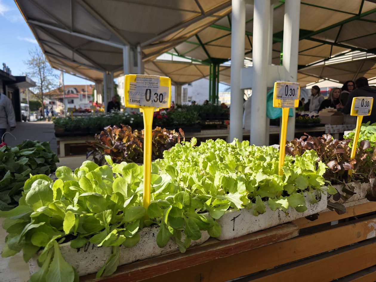 Čakovečki plac 4-4-2026 (60)