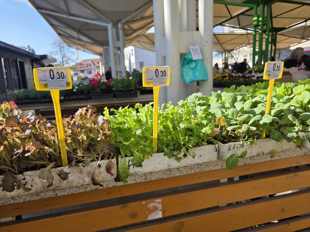 Čakovečki plac 4-4-2026 (61)