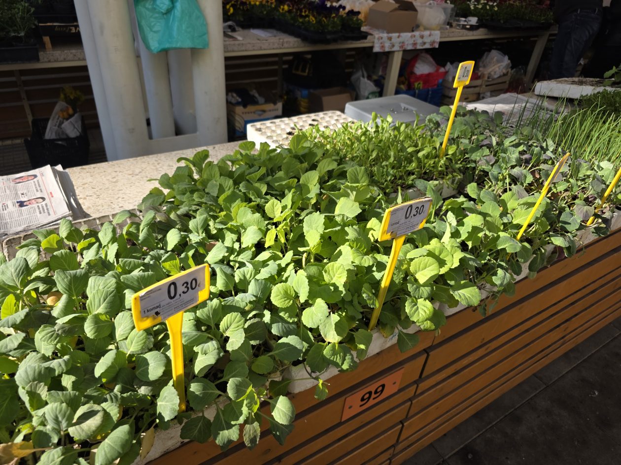 Čakovečki plac 4-4-2026 (62)