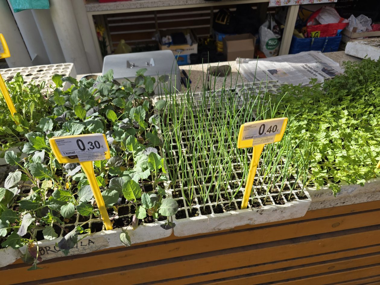 Čakovečki plac 4-4-2026 (63)