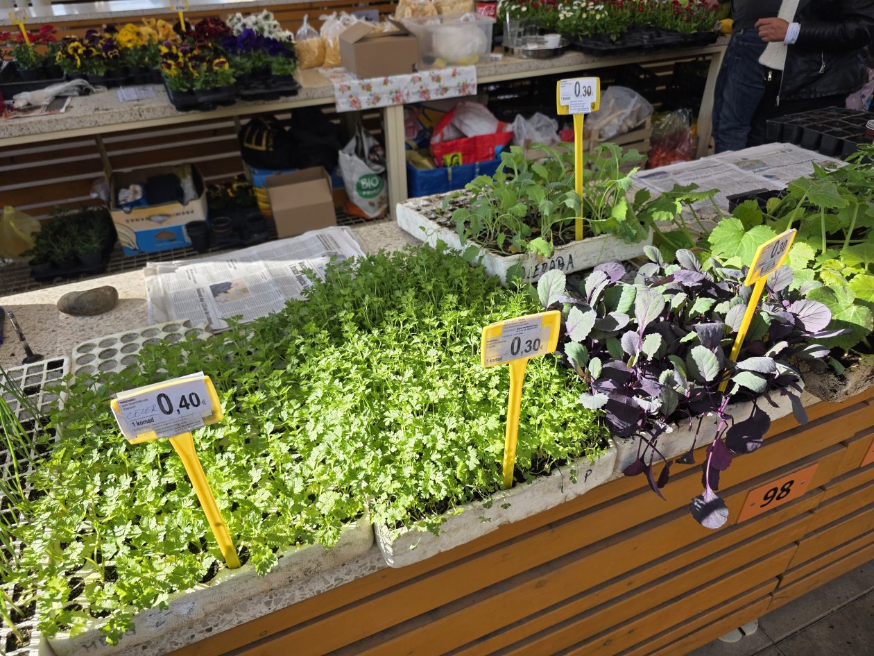 Čakovečki plac 4-4-2026 (64)