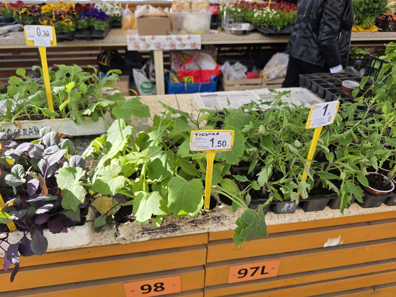 Čakovečki plac 4-4-2026 (65)