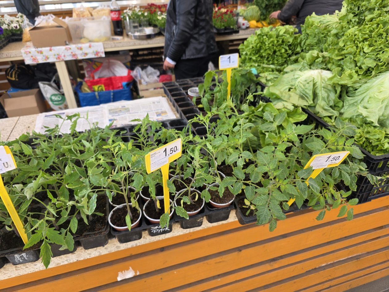 Čakovečki plac 4-4-2026 (66)