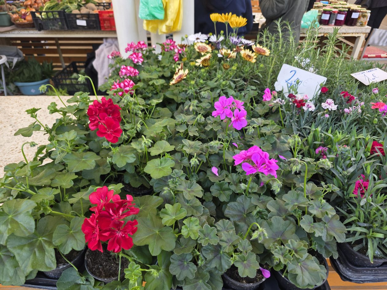 Čakovečki plac 4-4-2026 (70)