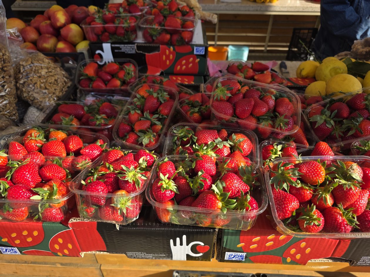 Čakovečki plac 4-4-2026 (8)