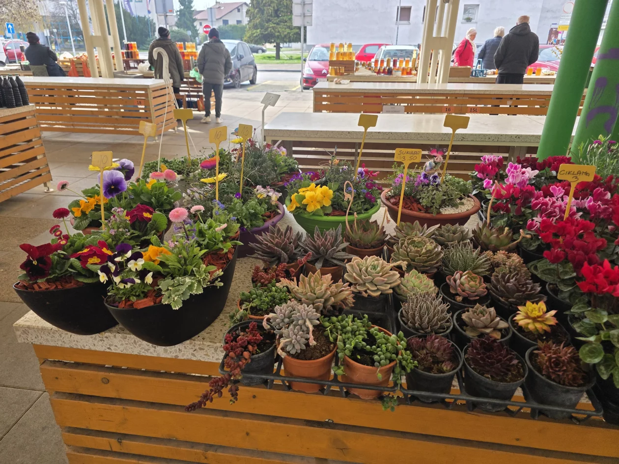 Čakovečki plac tržnica 18-3-2026 (12)