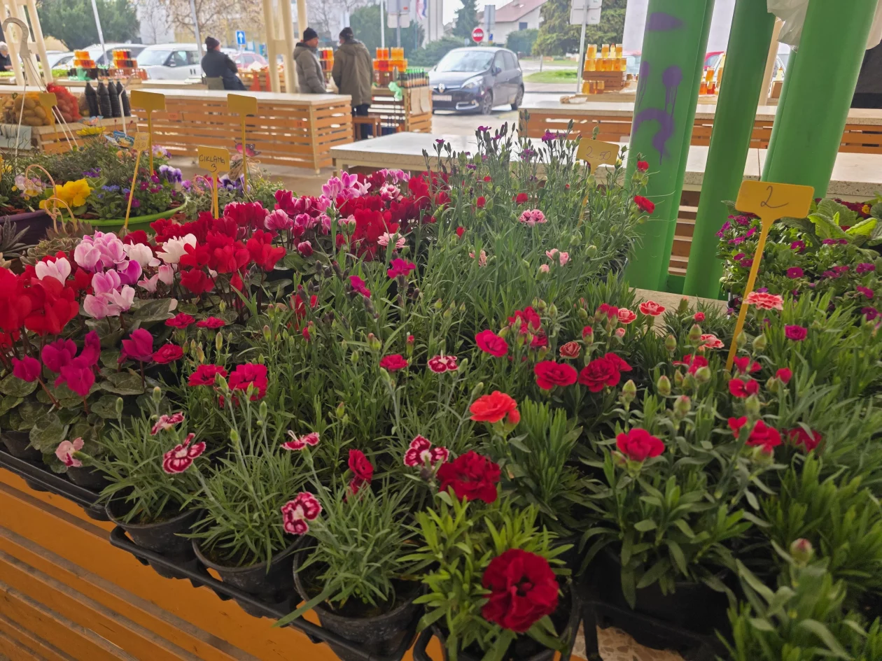 Čakovečki plac tržnica 18-3-2026 (15)