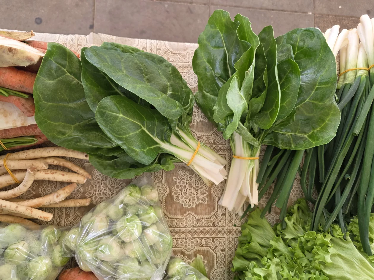 Čakovečki plac tržnica 18-3-2026 (43)