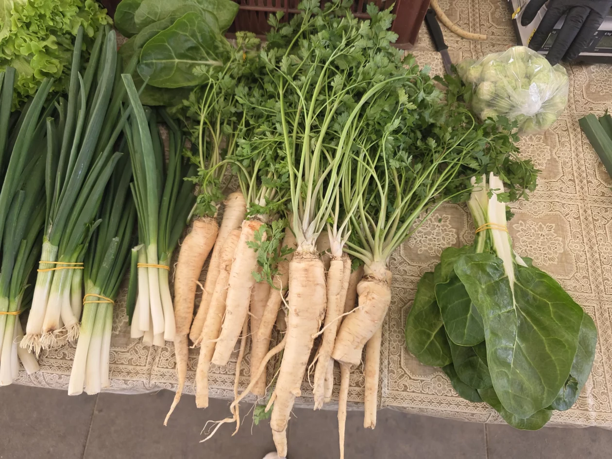 Čakovečki plac tržnica 18-3-2026 (45)