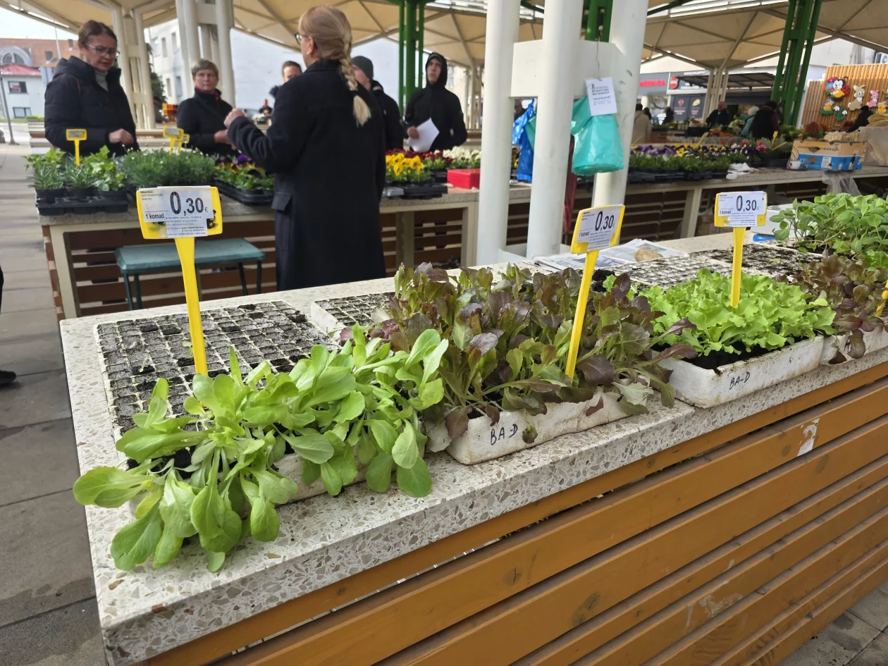 Čakovečki plac tržnica 18-3-2026 (47)