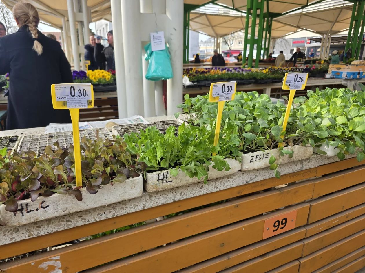 Čakovečki plac tržnica 18-3-2026 (48)