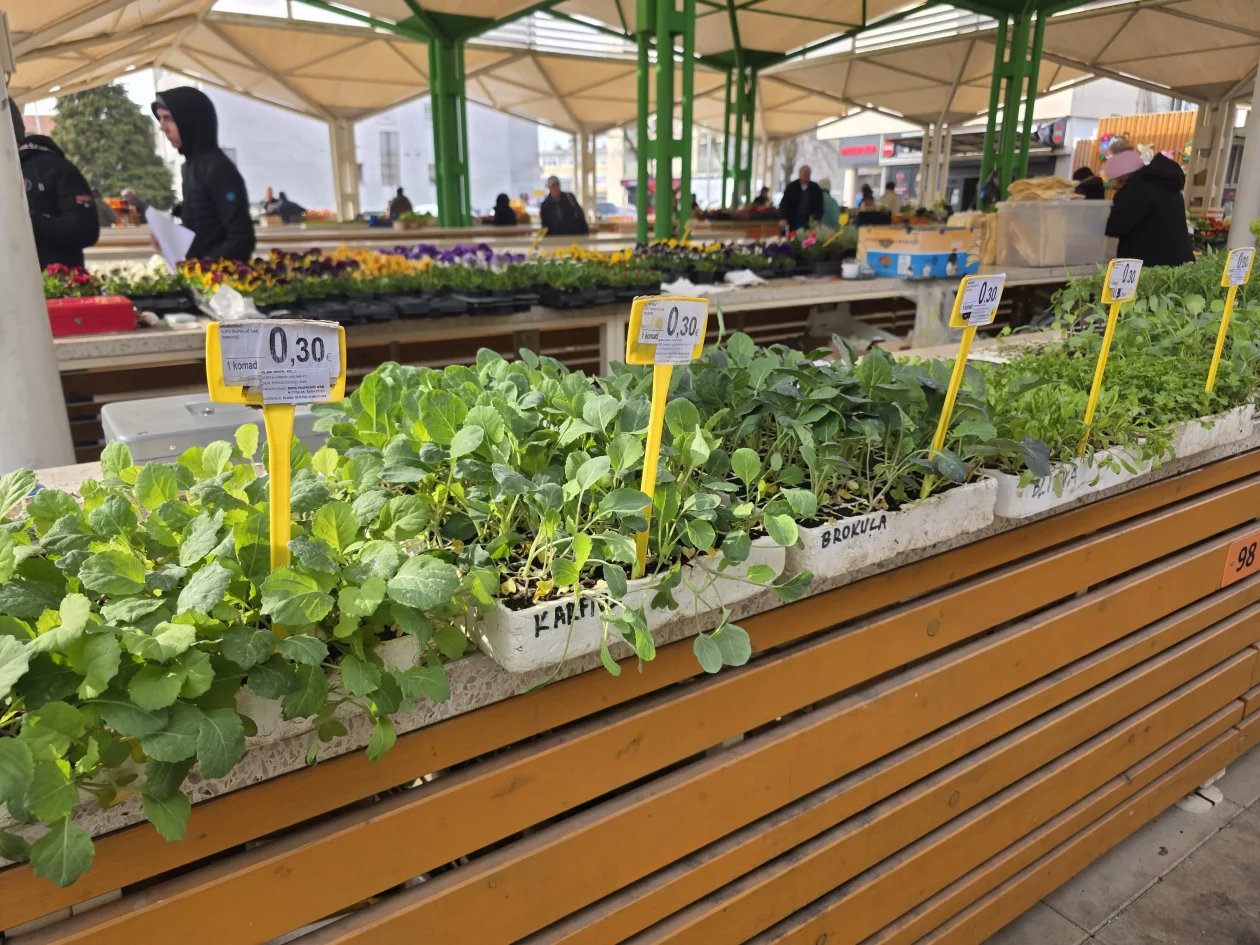 Čakovečki plac tržnica 18-3-2026 (49)