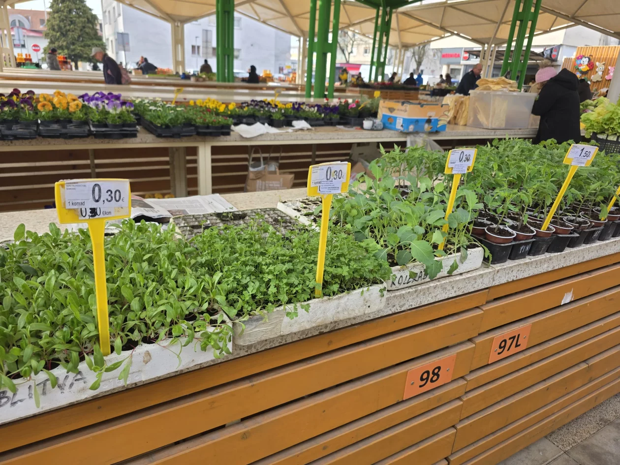 Čakovečki plac tržnica 18-3-2026 (50)