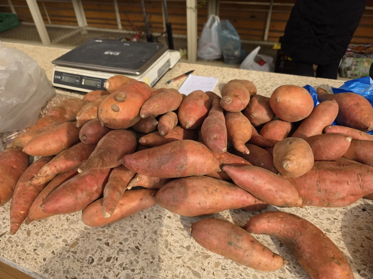 Čakovečki plac tržnica 18-3-2026 (65)