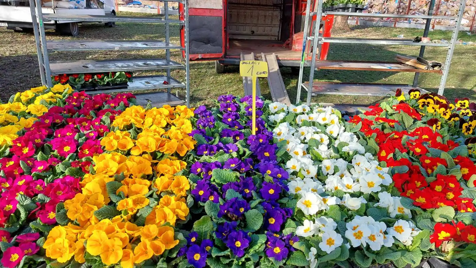 Čakovečki sajam (10) Čakovečki sajam (10)