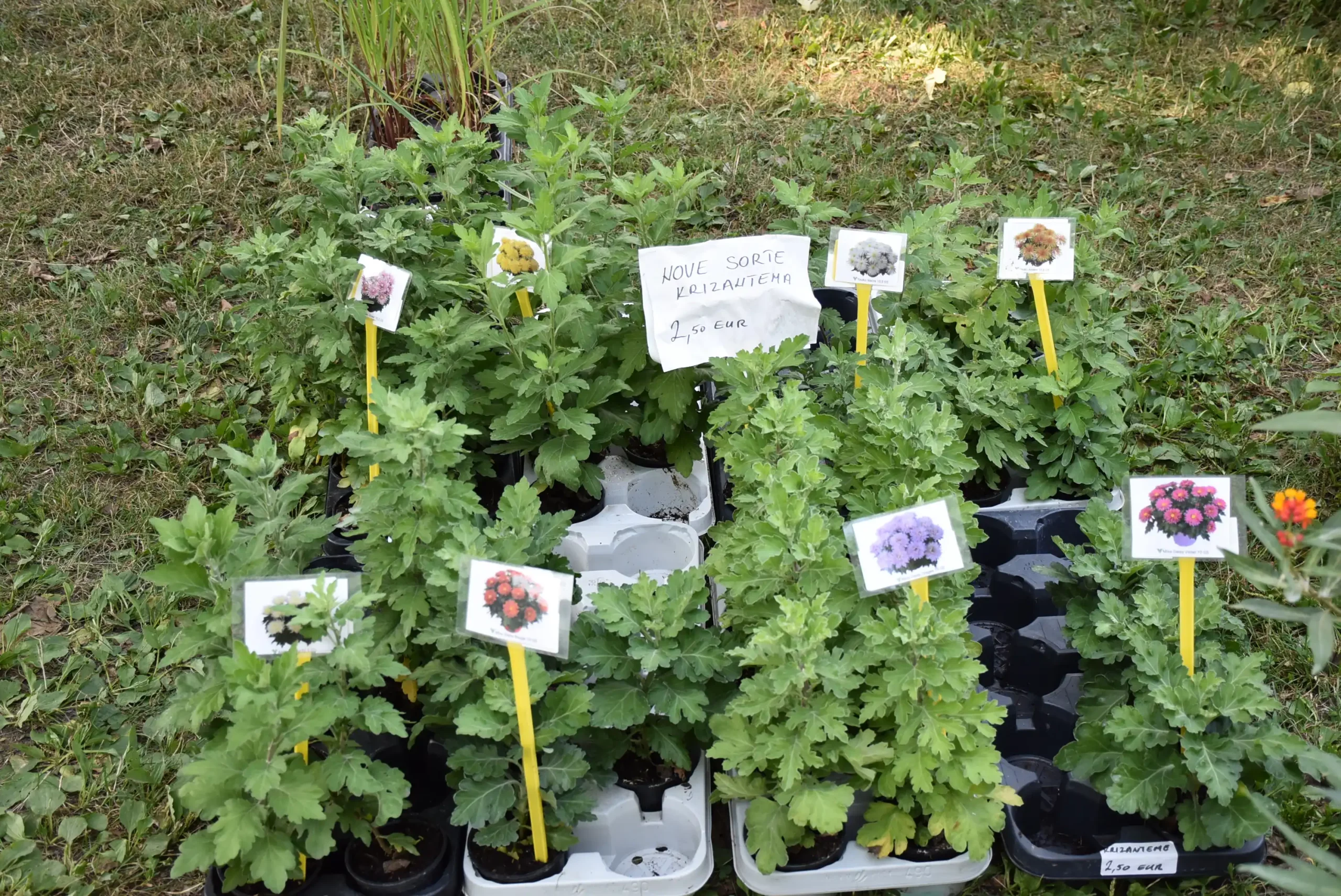 Čakovečki sajam 14 (28) Čakovečki sajam 14 (28)