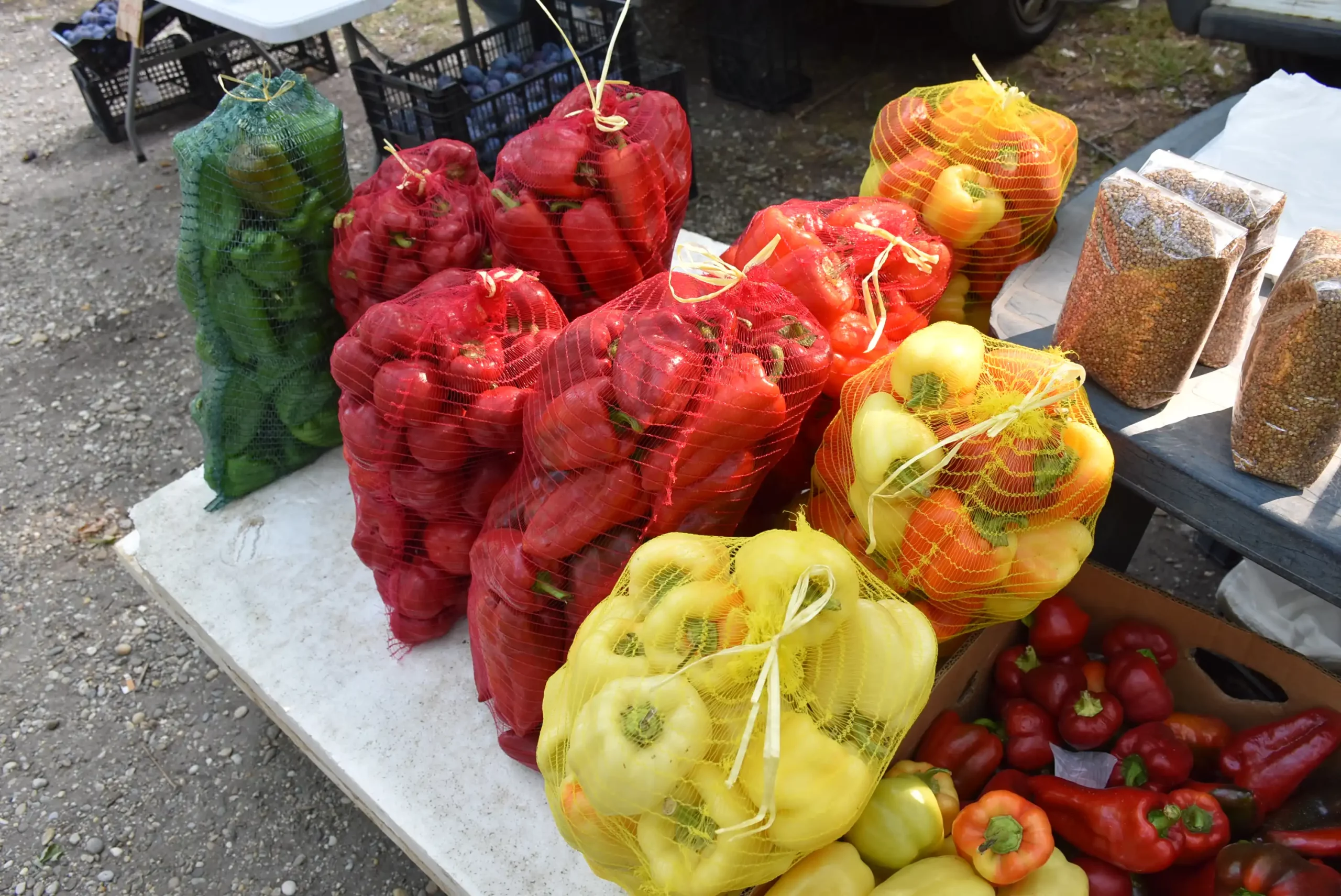 Čakovečki sajam 14 (3) Čakovečki sajam 14 (3)