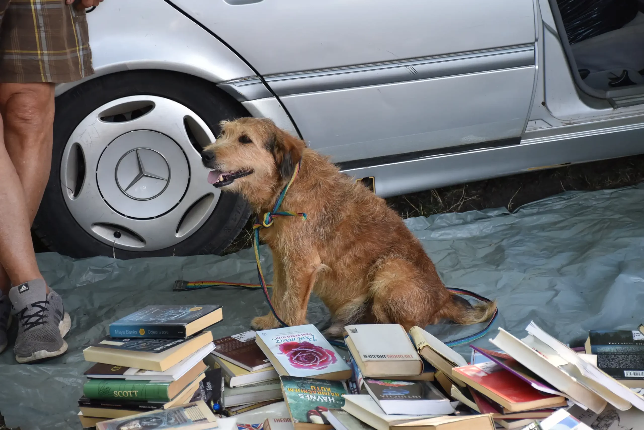 Čakovečki sajam 14 (30) Čakovečki sajam 14 (30)