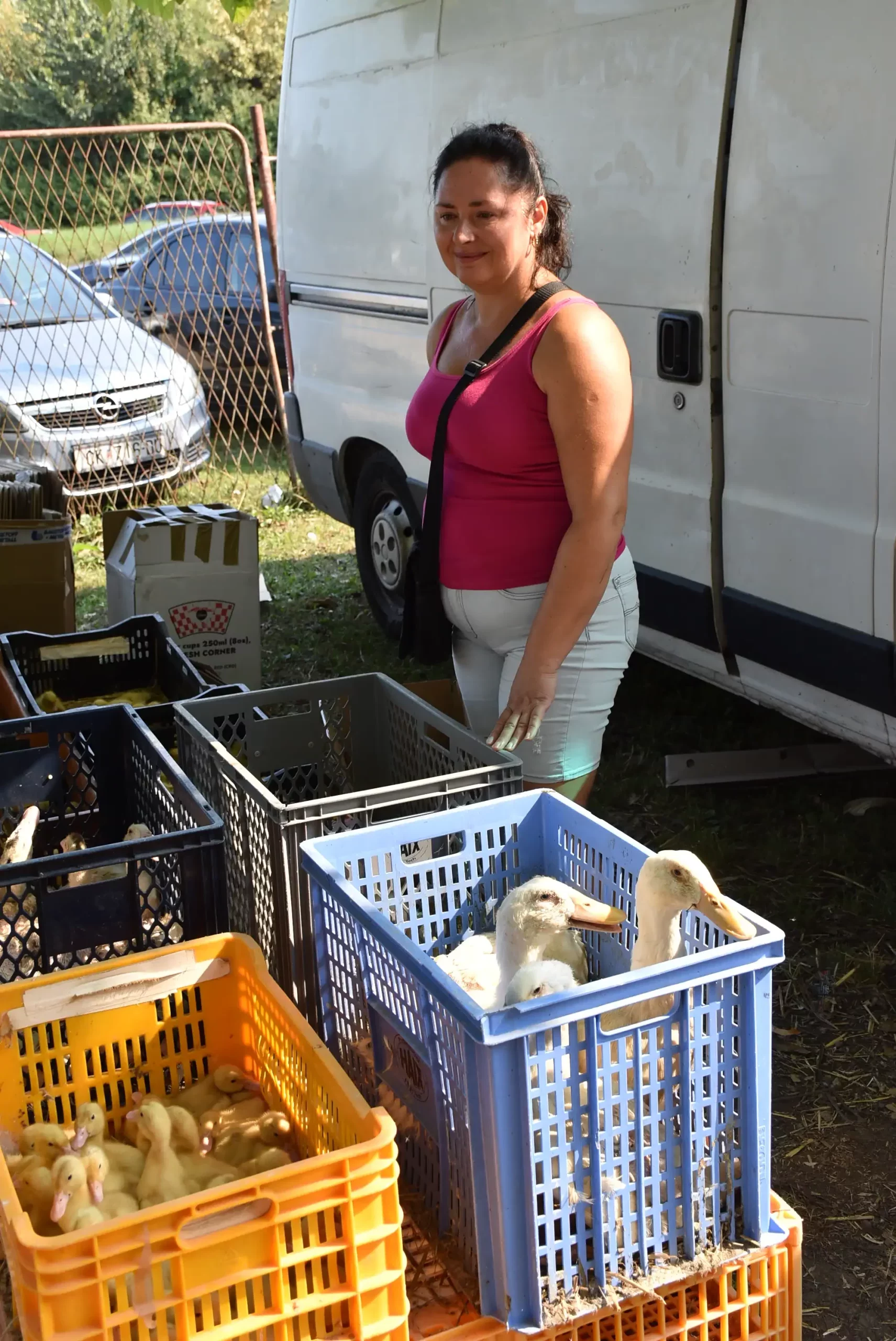 Čakovečki sajam 14 (34) Čakovečki sajam 14 (34)