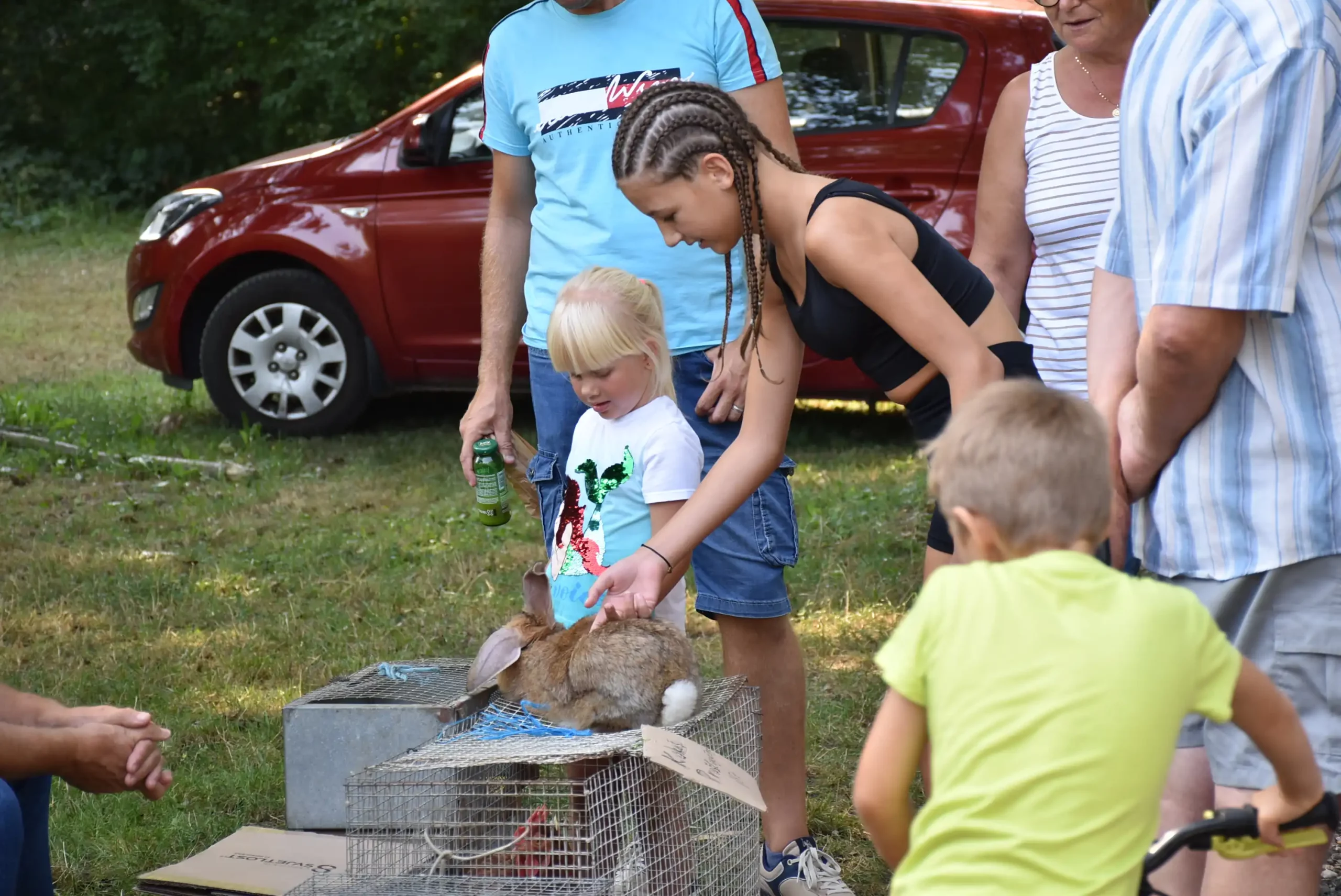 Čakovečki sajam 14 (36) Čakovečki sajam 14 (36)