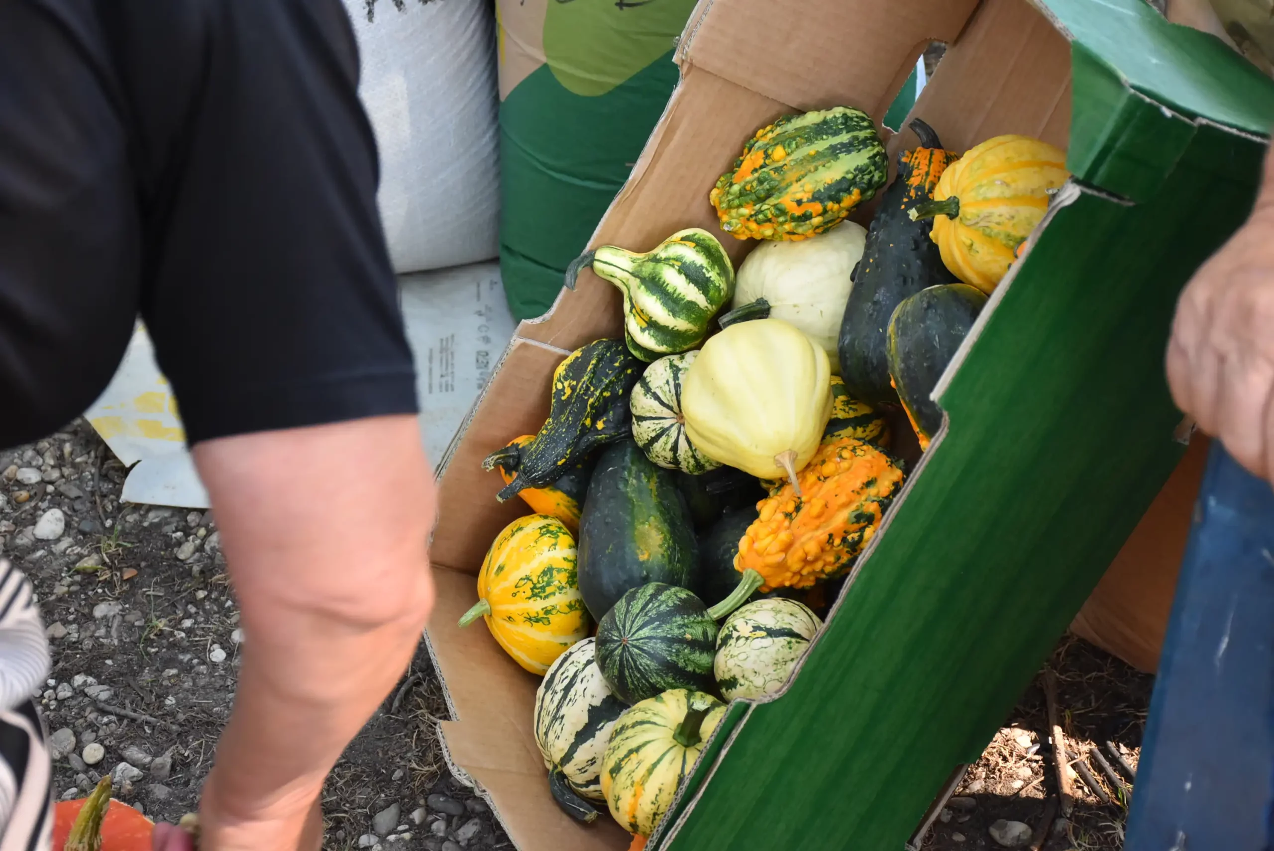 Čakovečki sajam 14 (43) Čakovečki sajam 14 (43)