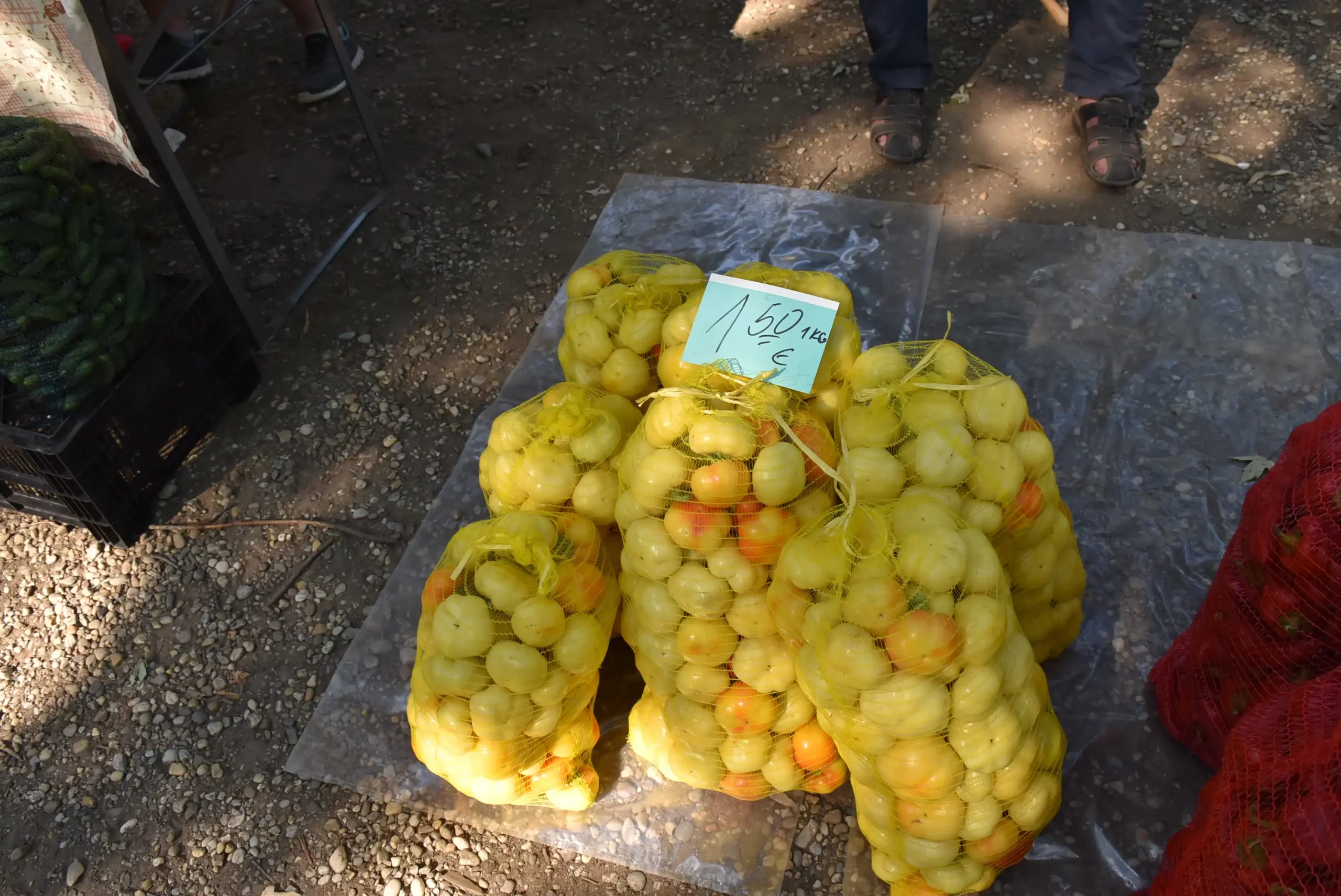 Čakovečki sajam 14 (5) Čakovečki sajam 14 (5)