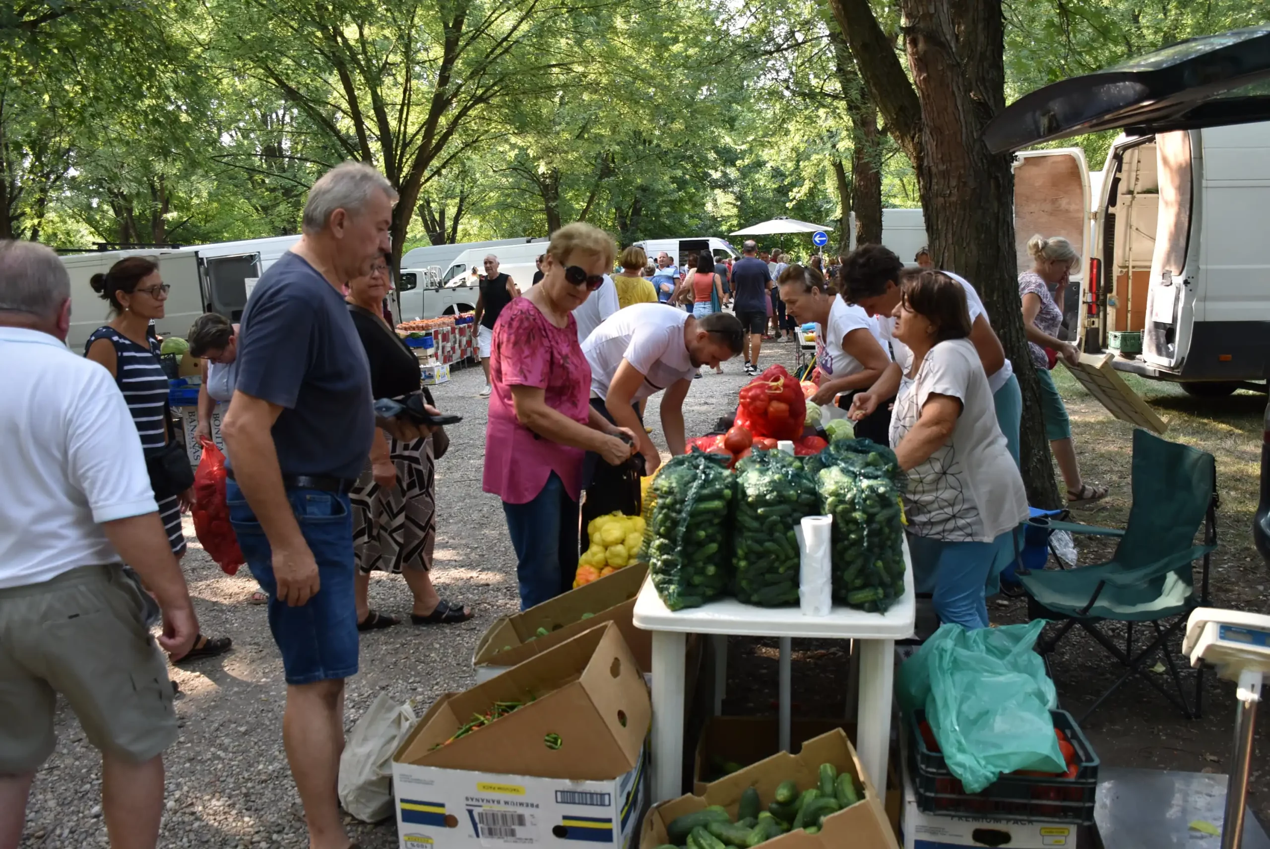 Čakovečki sajam 14 (56) Čakovečki sajam 14 (56)