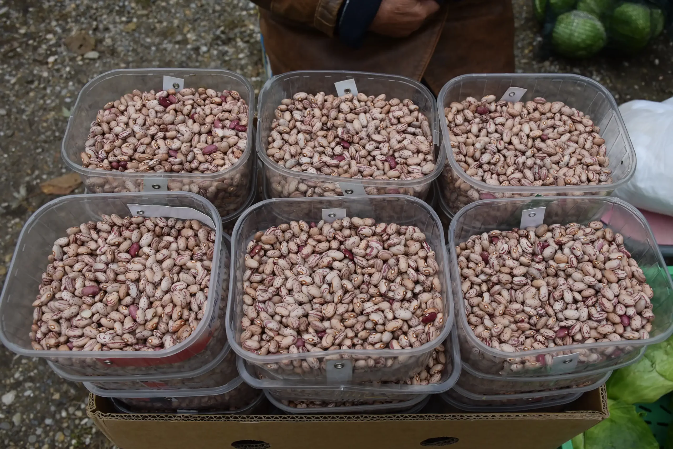 Čakovečki sajam 16.10.2024. (13)