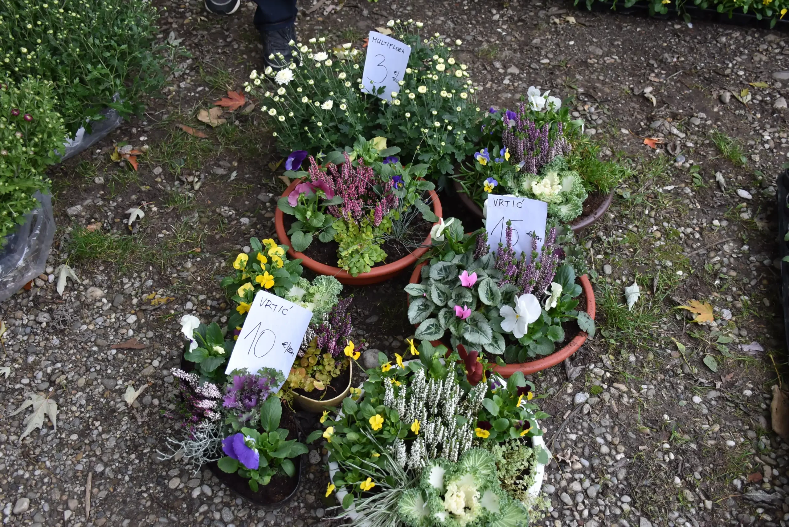 Čakovečki sajam 16.10.2024. (15)