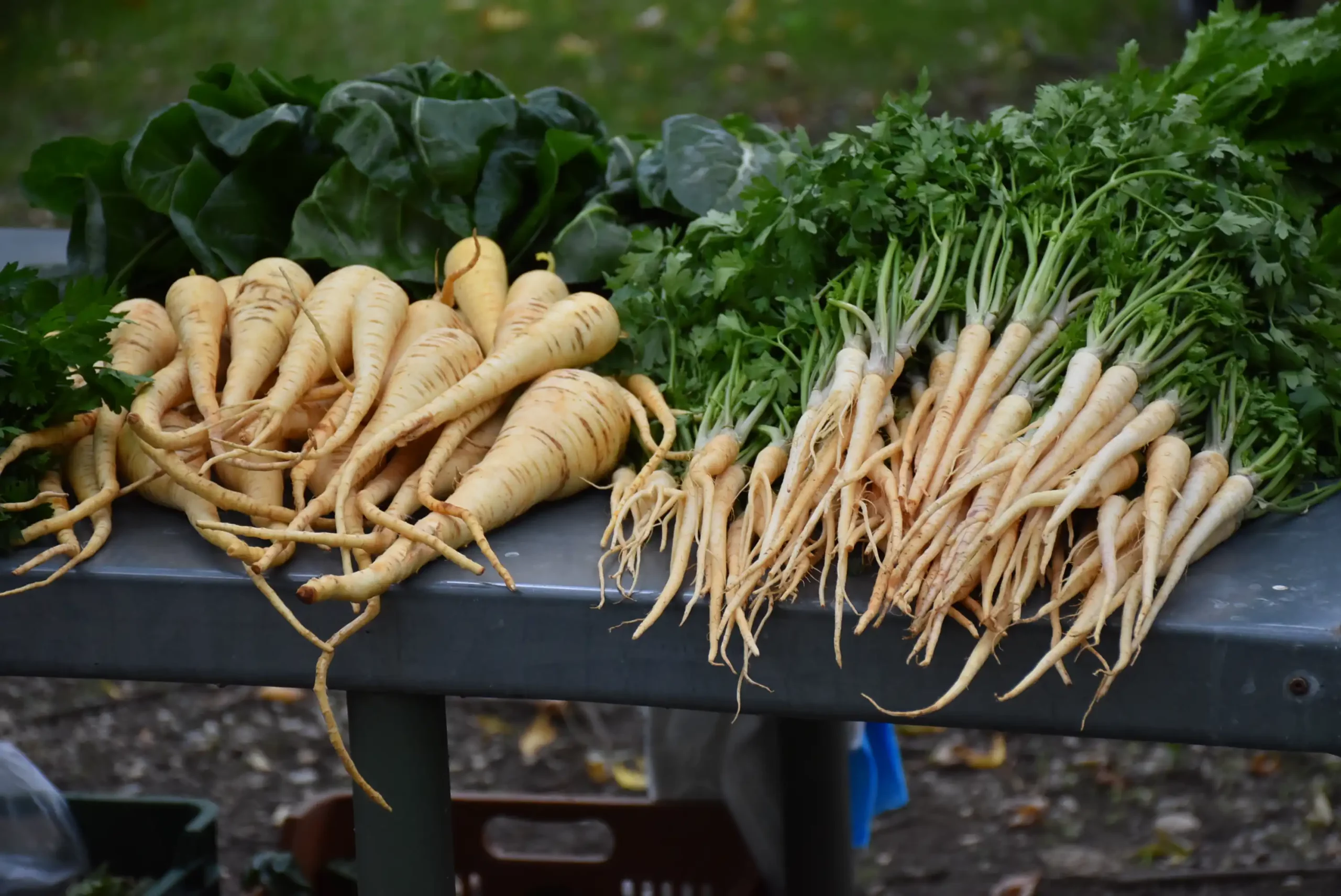 Čakovečki sajam 16.10.2024. (22)