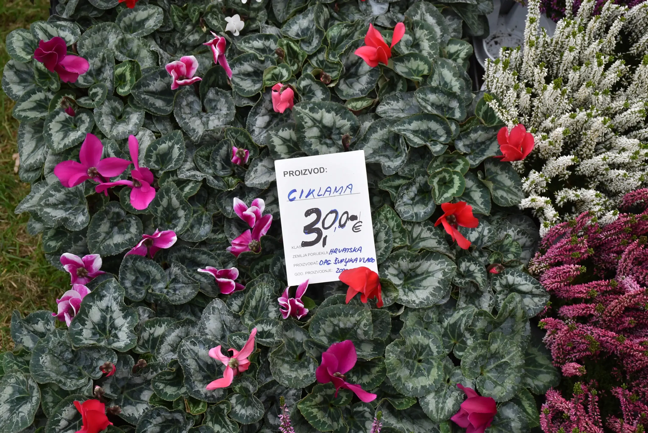 Čakovečki sajam 16.10.2024. (51)