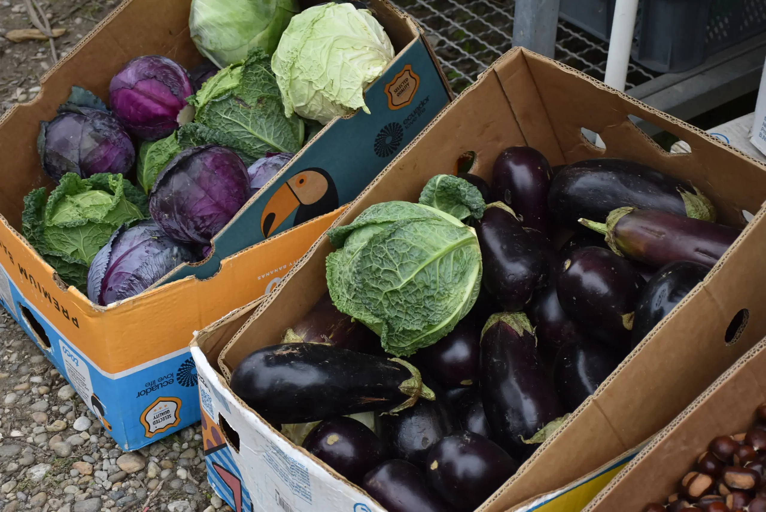 Čakovečki sajam 16.10.2024. (6)