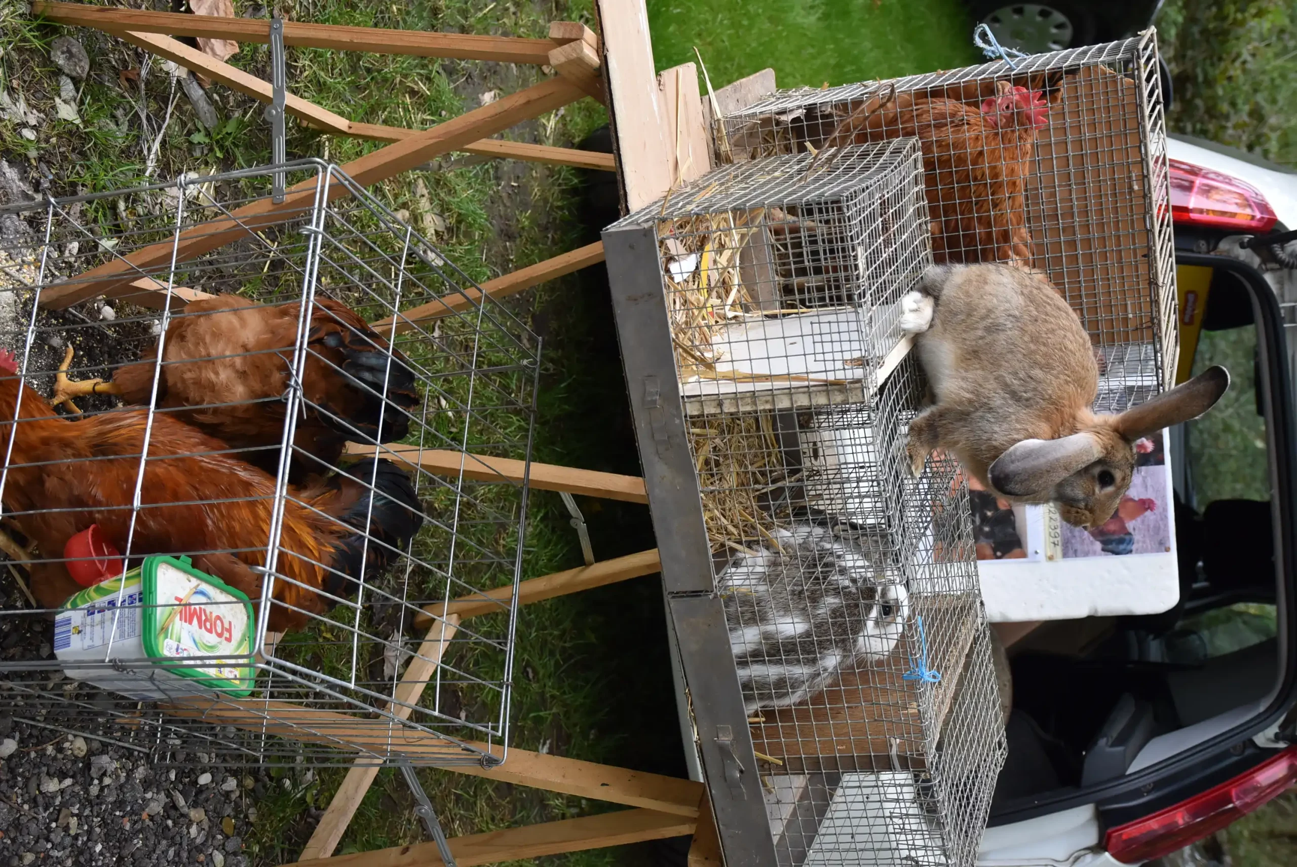 Čakovečki sajam 16.10.2024. (67)