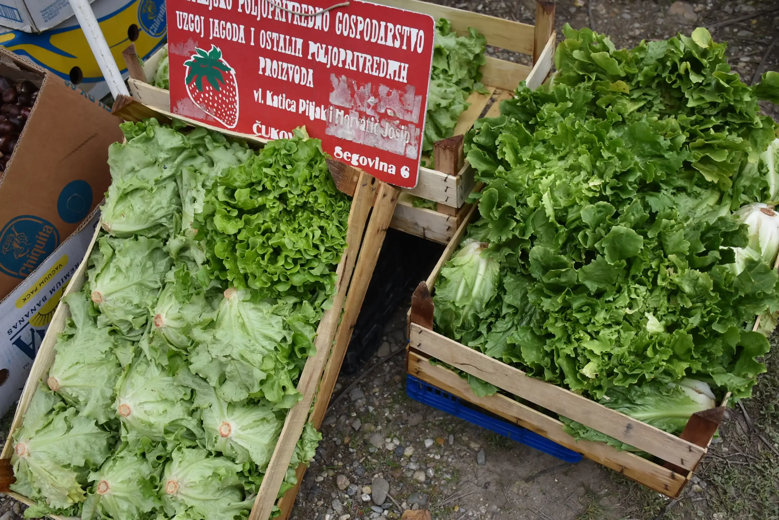 Čakovečki sajam 16.10.2024. (7)