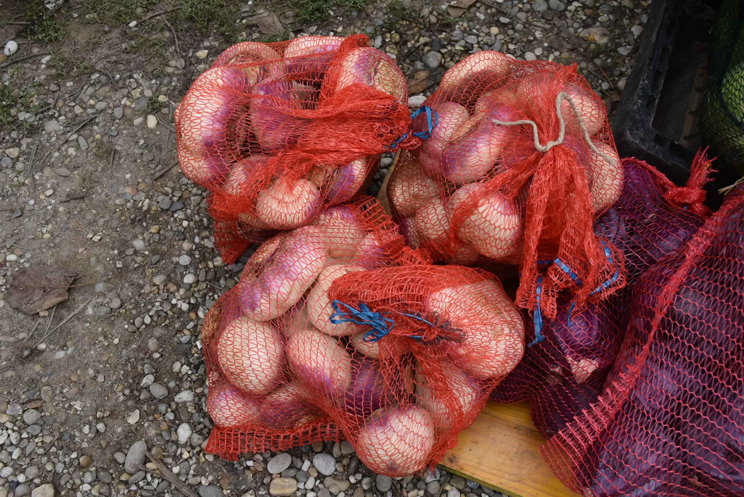 Čakovečki sajam 16.10.2024. (8)