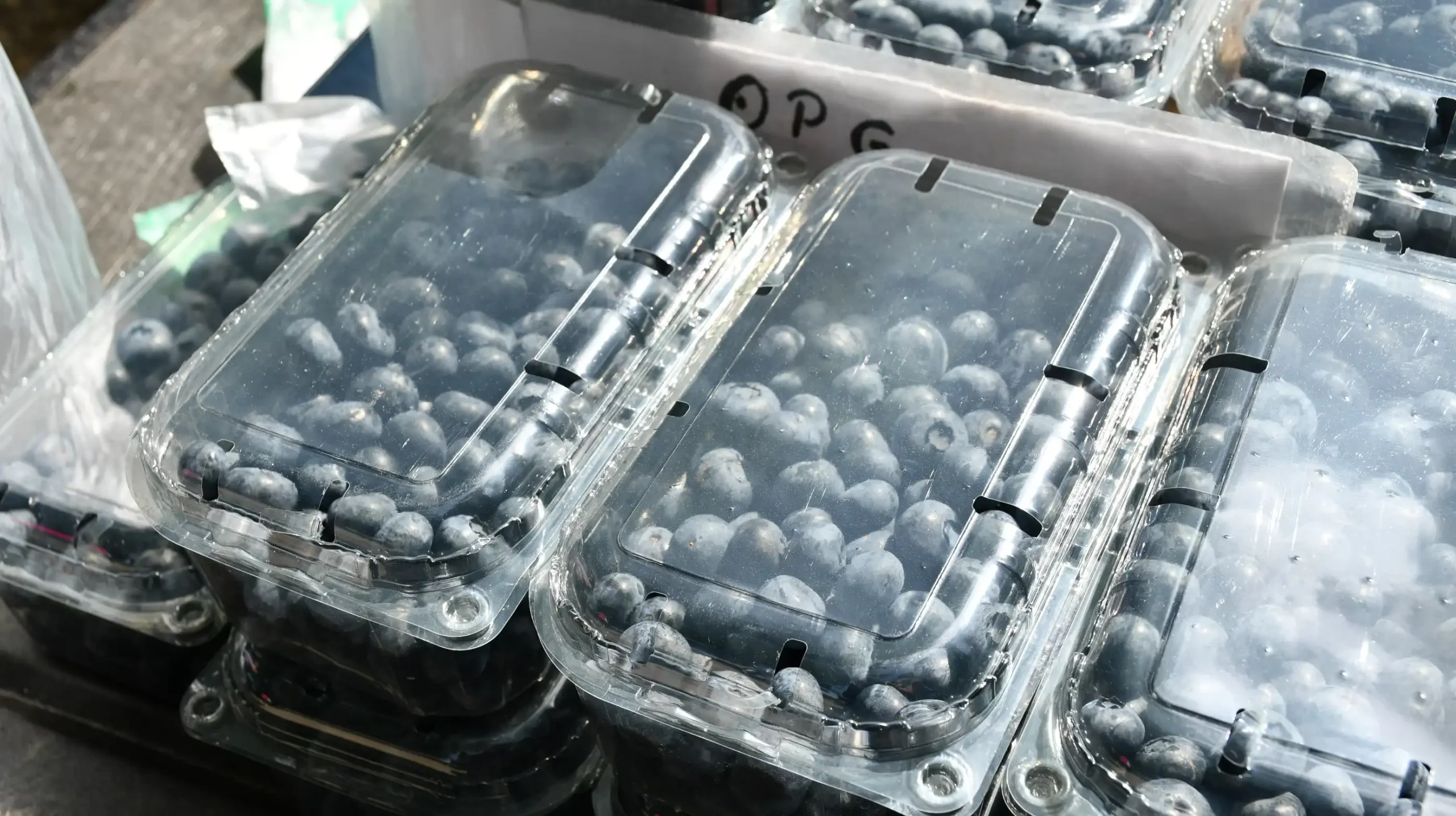 Čakovečki sajam, 19. lipnja (13)