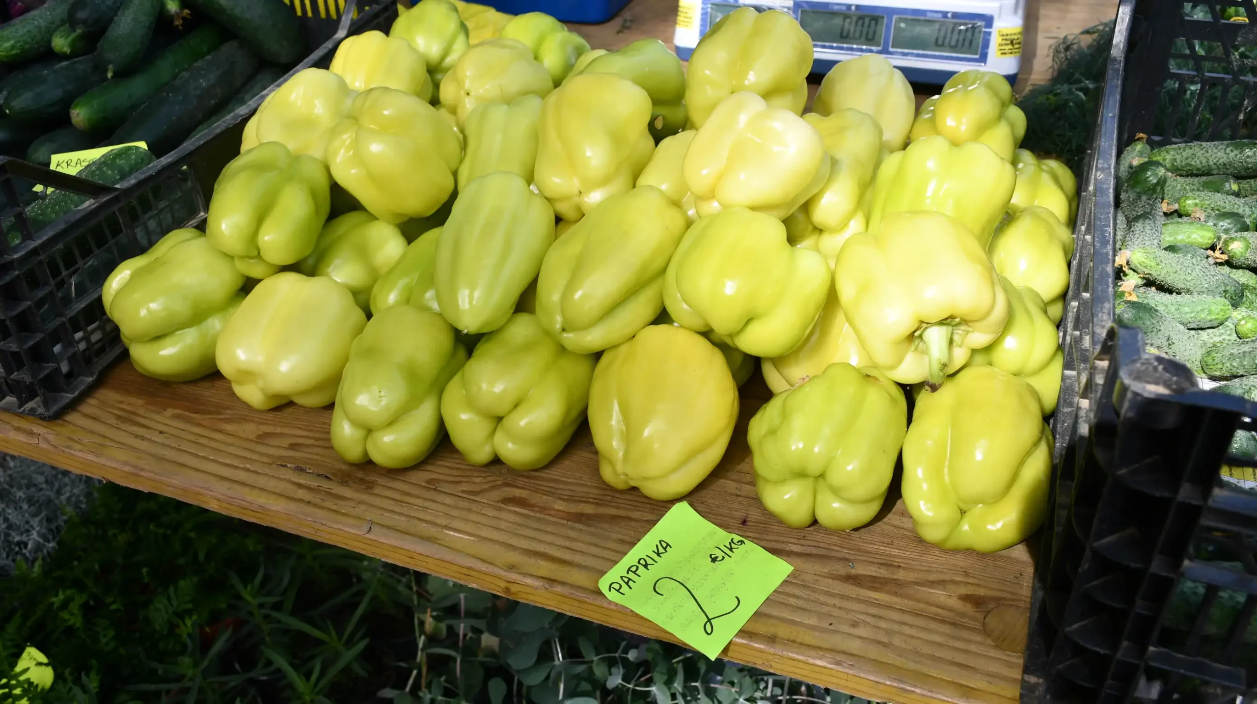 Čakovečki sajam, 19. lipnja (14)