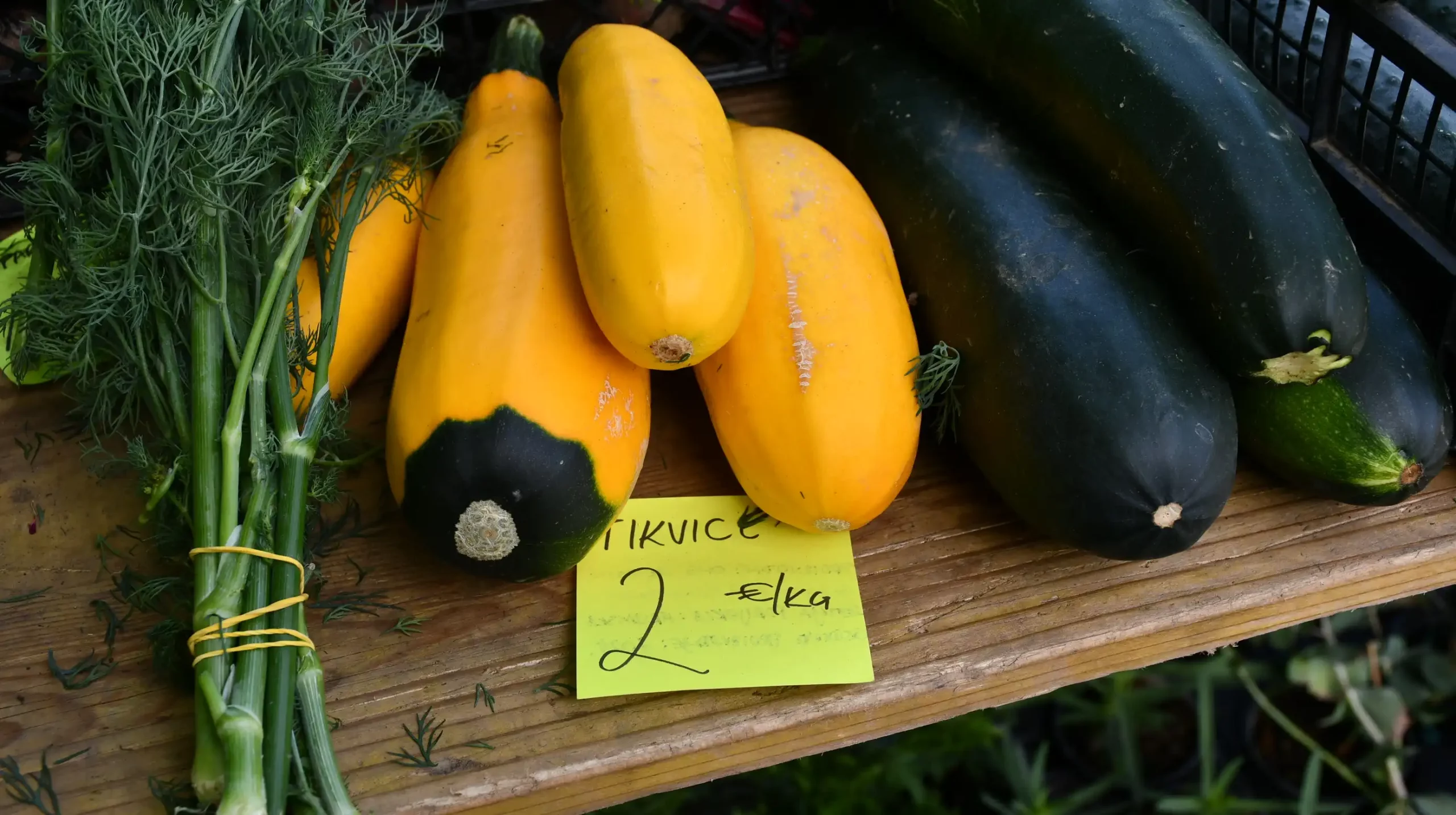 Čakovečki sajam, 19. lipnja (16)