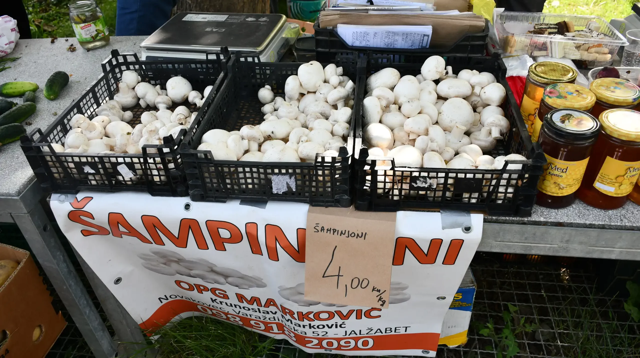 Čakovečki sajam, 19. lipnja (21)