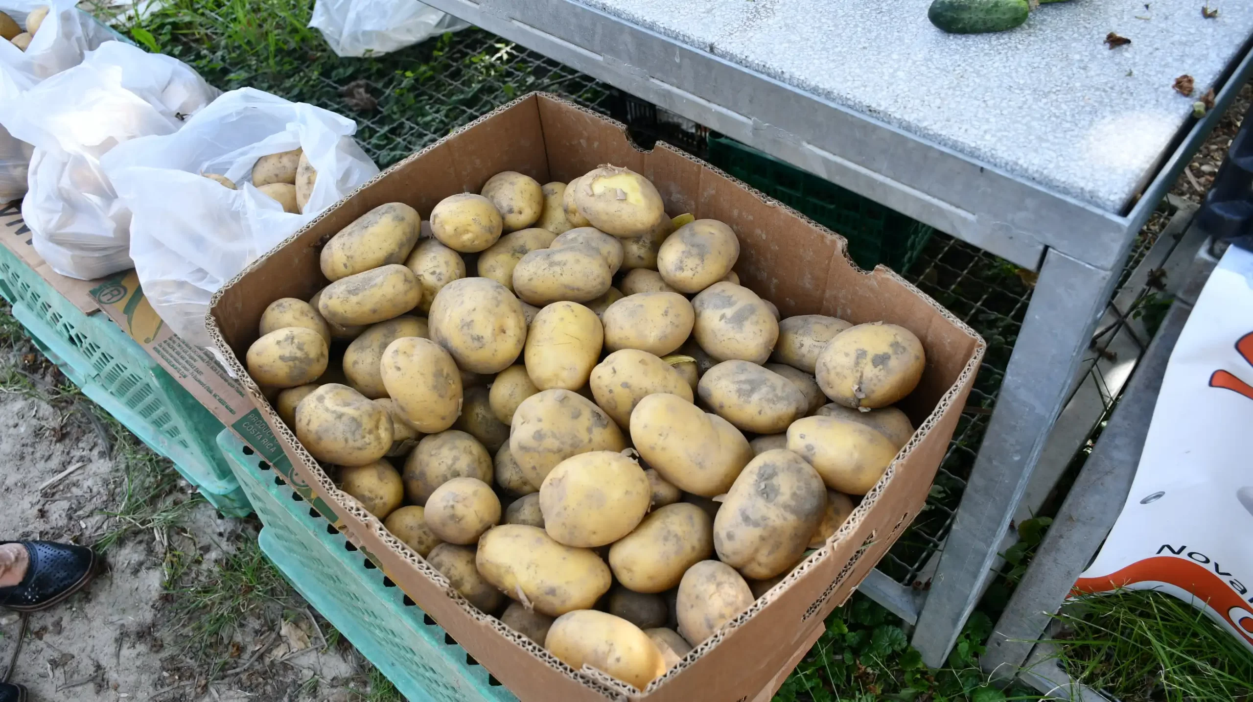 Čakovečki sajam, 19. lipnja (22)