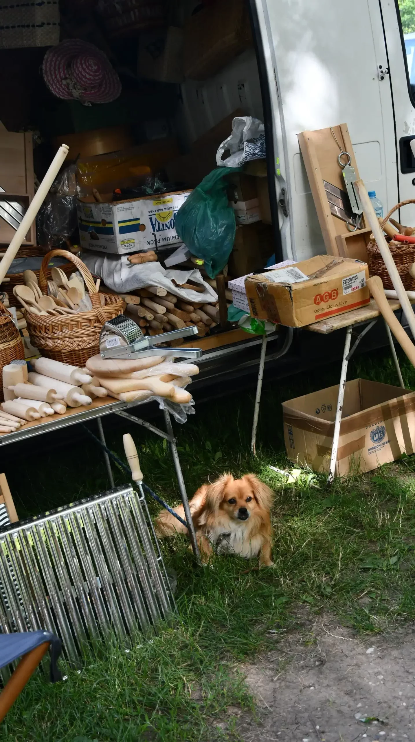 Čakovečki sajam, 19. lipnja (45)