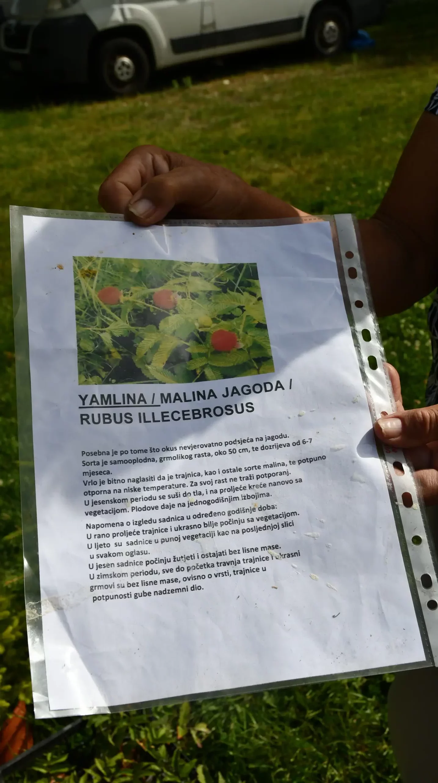 Čakovečki sajam, 19. lipnja (8)