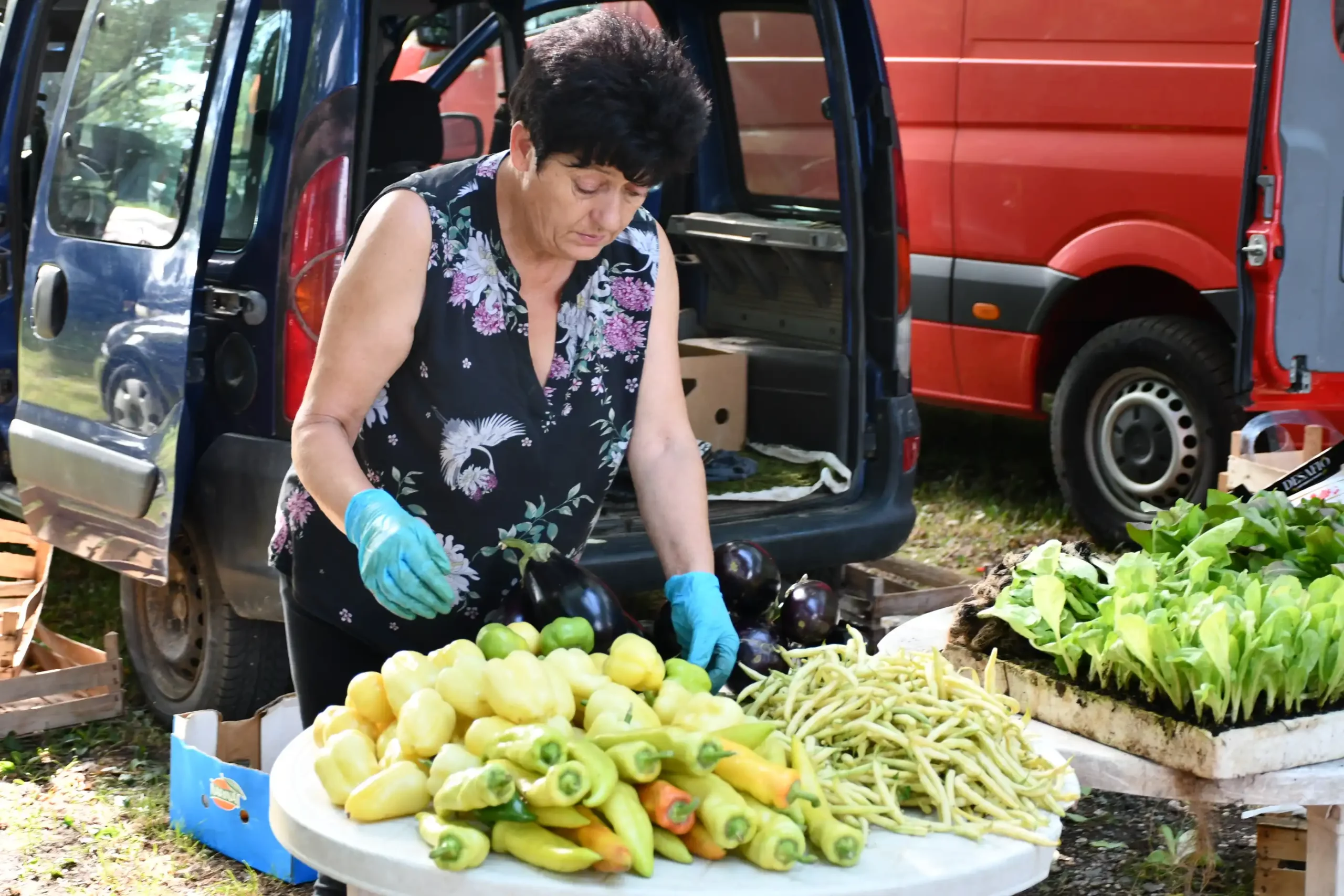 Čakovečki sajam 24 (12)