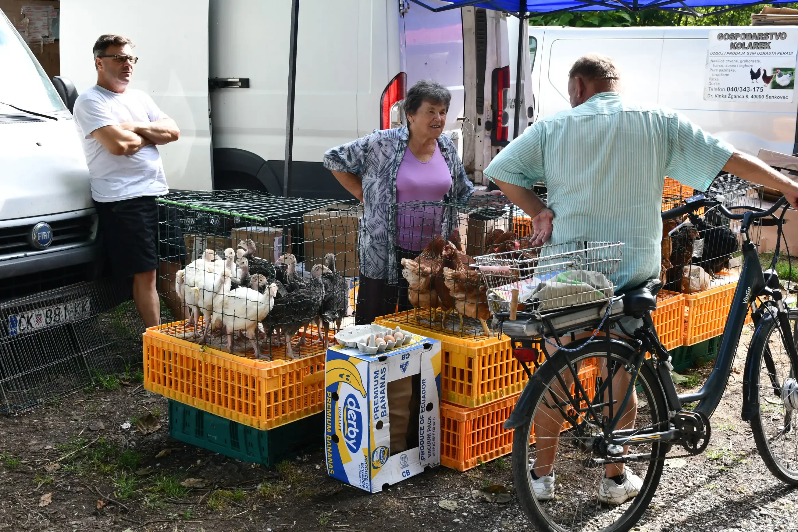 Čakovečki sajam 24 (26)