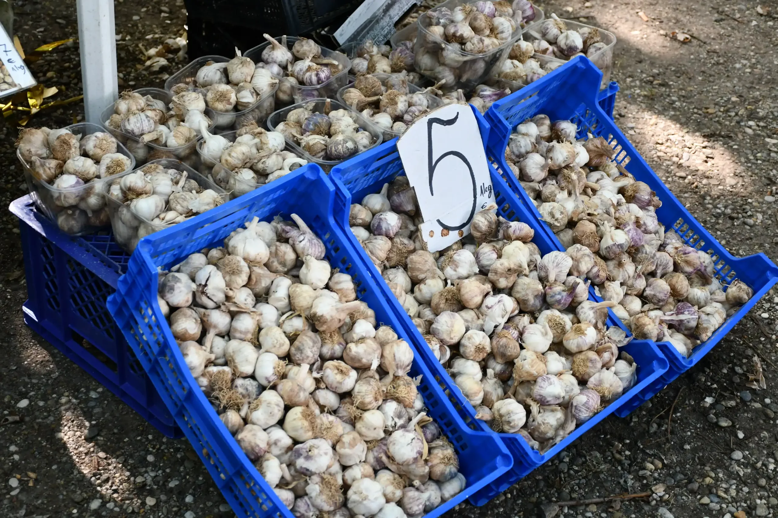 Čakovečki sajam 24 (47)